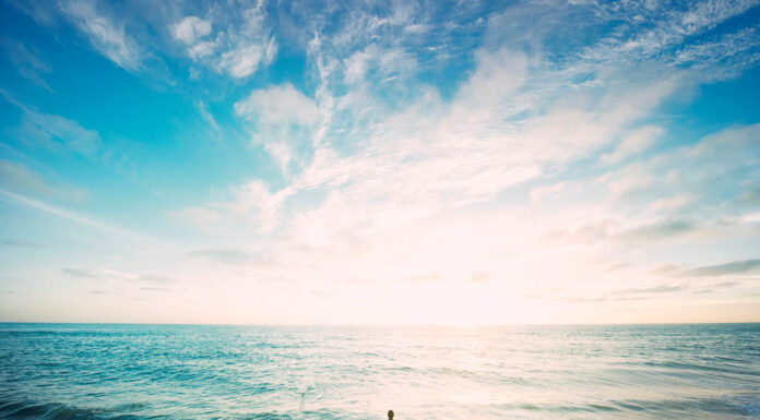 भान्साको ओखती : एसिडिटी वा पेटको समस्यामा