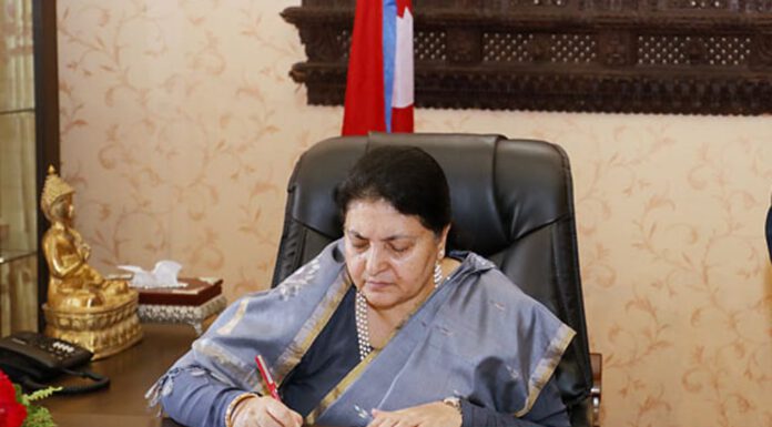 समतामुलक समाज निर्माण गर्न प्रेरणा मिलोस् : राष्ट्रपति