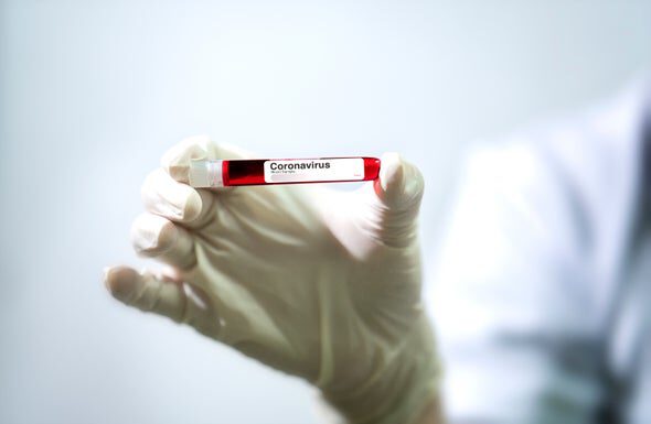 तीन भारतीय पत्रकारलाई कोरोना भाइरस संक्रमण