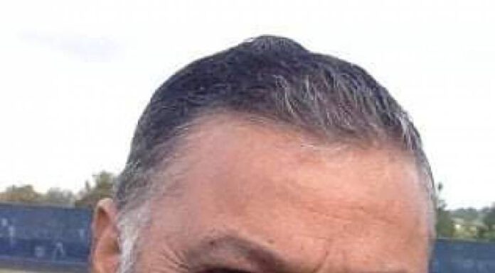 साइबर अपराधमा मुछिएका पूर्व सचिव उपाध्याय धरौटीमा रिहा