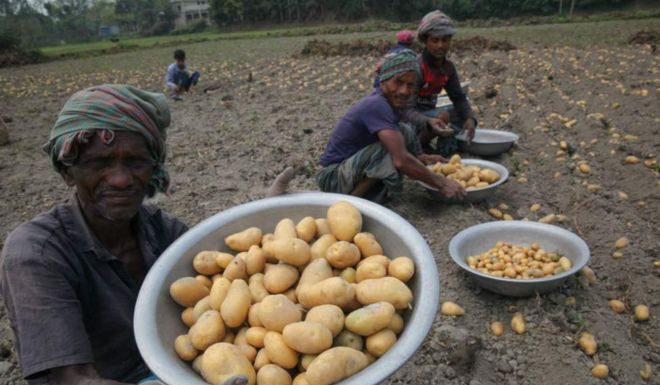 दक्षिण एशियाका कुन देश कोरोना भाइरस कति प्रभावित
