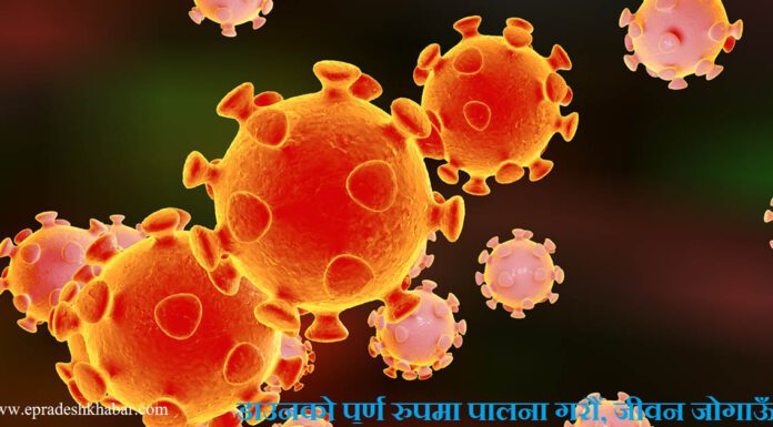 नेपालमा कोरोना संक्रमणबाट २२ जनाको मृत्यु, ८ हजार ६ सय ५ जना संक्रमित १ हजार ५ सय ७८ जना निको भएर फर्किए