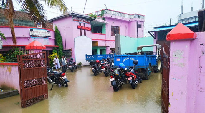 अबिरल वर्षाले मलंगवा डुबानमा