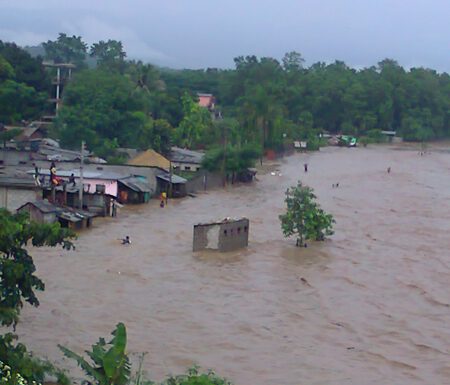 नारायणीको बाढी खतराको बिन्दुमा, सतर्कता अपनाउन आग्रह