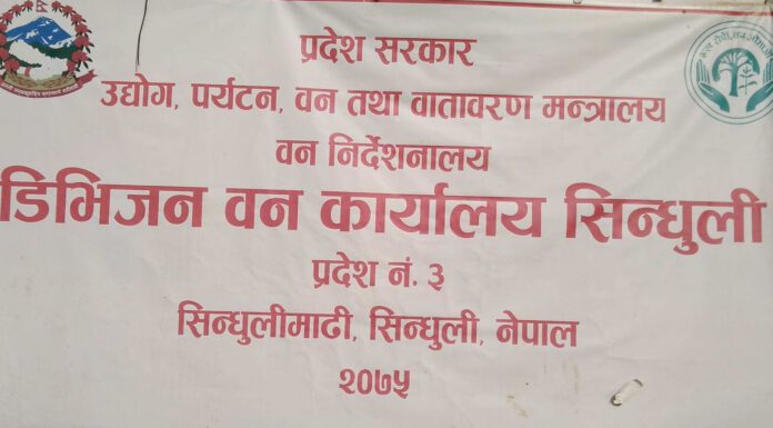 सामुदायिक बन समितिका पदाधिकारीनैं बन चोरी र अतिक्रमणमा संलग्न