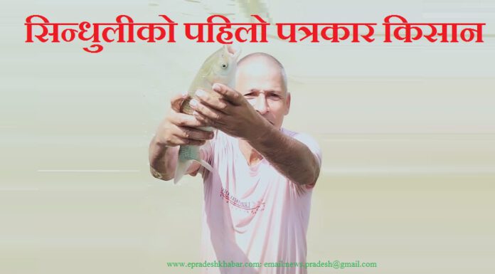 अरुको समाचार लेख्ने सिन्धुलीका पत्रकार आफैं समाचार बनेपछि…