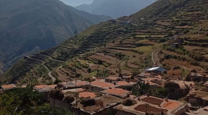 जुवातास तथा रक्सी सेवन बढेपछि महिलाले बन्द गराए गाउँमा जुवातास