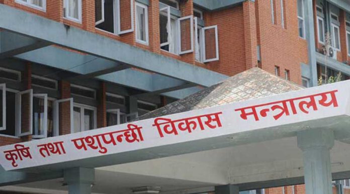 बर्डफ्लू नियन्त्रणका लागि सरकारले तयार पार्यो ‘र्यापिड रेस्पोन्स टीम’