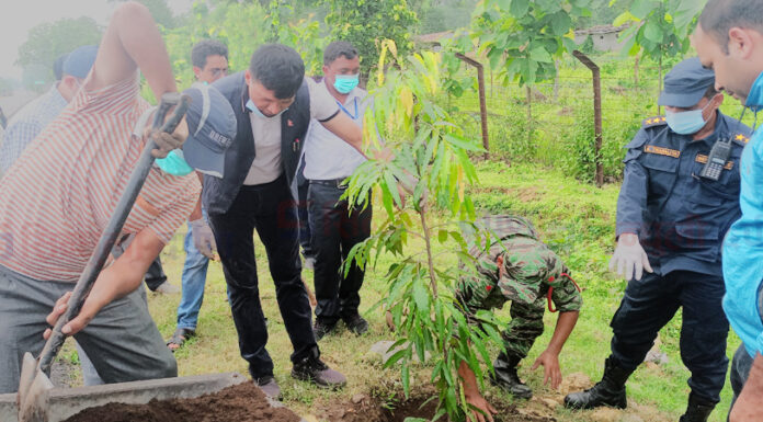 मदनभण्डारी राजमार्गमा बृक्षारोपण