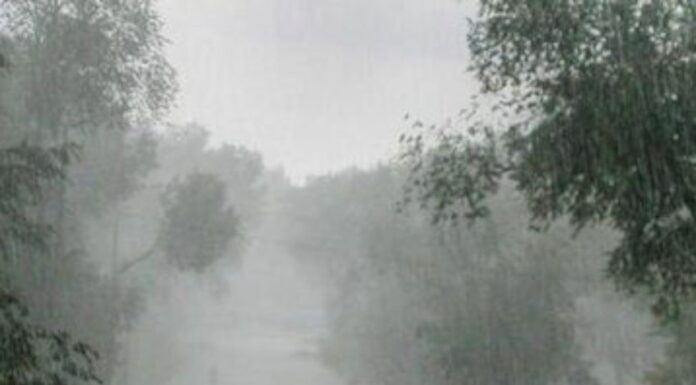 मनसुन पुनः सक्रिय हुँदा देशभर वर्षा, बागमती र गण्डकीमा बाढी–पहिरोको उच्च जोखिम