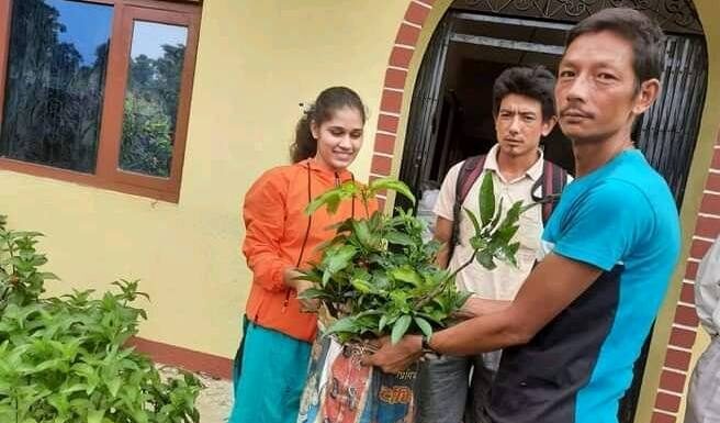 तिनपाटनमा अनुदानका बिरुवा बितरण