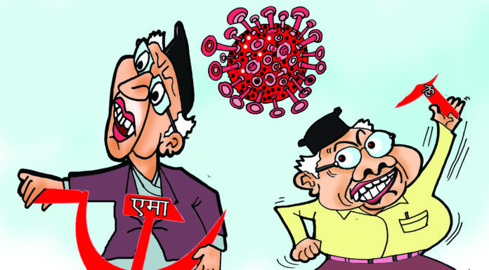 नेकपा (एमाले)का २६० मध्ये ५८ केन्द्रीय सदस्य मात्रै माधव नेपालको एमाले समाजवादीमा लागे