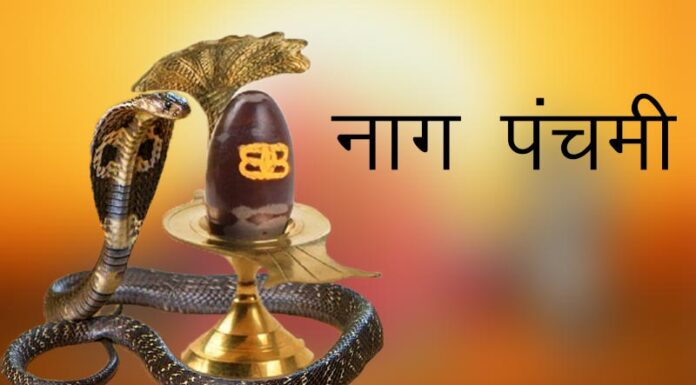 आज नागपञ्चमी, देशभर नागको पूजागरी मनाइँदै