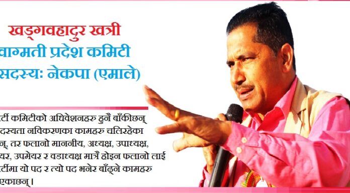 ‘आस्था, निष्ठा र प्रतिष्ठाका आधारमा राजनीति गरिदिएको भए अहिले नेपालमा यस्तो राजनैतिक संकट आउनेनैं थिएन’