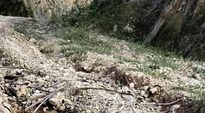 चाडवाडमा उदासिन स्थानीय सरकारः कतै मर्मतभयो तर गाडी चल्दैन, कतै सडक मर्मतै नहुँदा समस्या