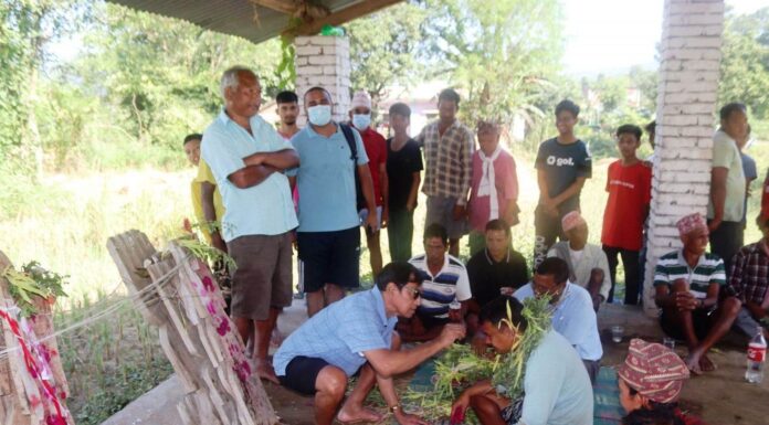 सामूहिक रुपमा थारु समुदायले दसैँमा लगाए राज तिलक