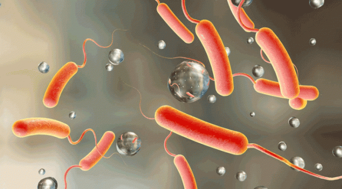 हैजाको उपचारका लागि पाटन अस्पतालमा छुट्टै डेस्क