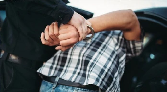 वन मुद्धाका फरार अभियुक्त पक्राउ