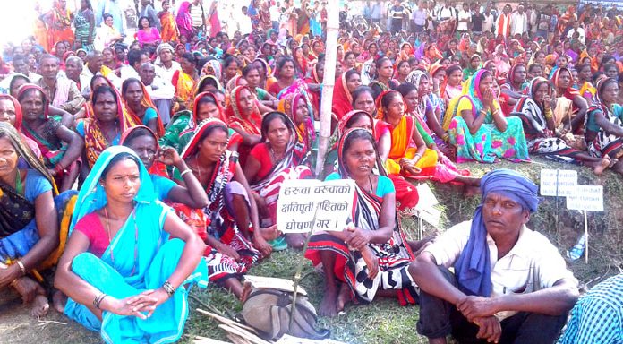 तराई मधेसका जिल्लामा मुक्तिको घोषणासँगै हरुवाचरुवा उत्साहित