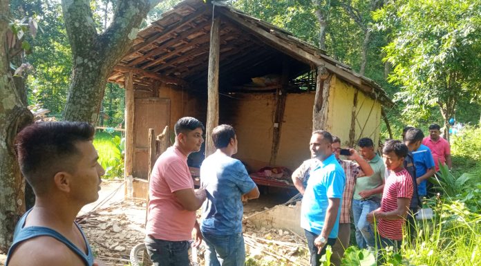 जंगली हात्तिद्धारा घर गोठ नष्ट