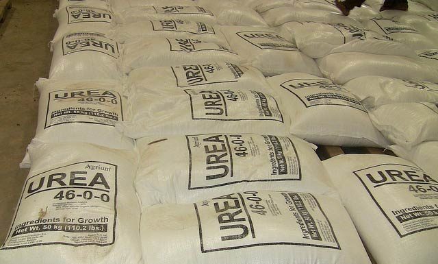 युरिया मलमा कालो बजारी, किसानहरु चिन्तित, स्थानीय प्रशासन रमिते !