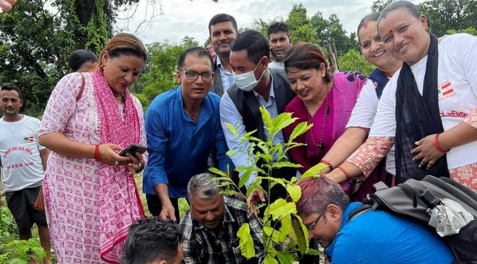 बिपी जयन्तीमा बृक्षारोपण