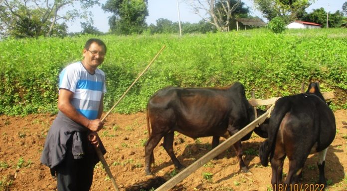 हलो जोत्दै राप्रपा उमेदवार बस्नेत !