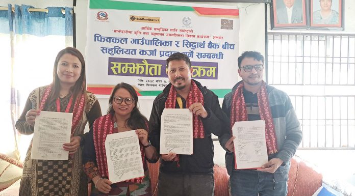 फिक्कल गाउँपालिकाका ३ सय युवालाई सहुलियत कर्जा प्रवाह गर्न प्रभु–सिद्धार्थ बैंक र पालिका बीच संझौतापत्रमा हस्ताक्षर