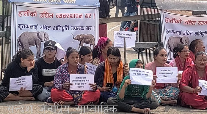 जंगली हात्तीको आक्राणबाट एक जनाको मृत्युपछि स्थानीय वासिन्दाद्धारा प्रदर्शन, मदन भण्डारी राजमार्ग अबरुद्ध (फोटो सहित)