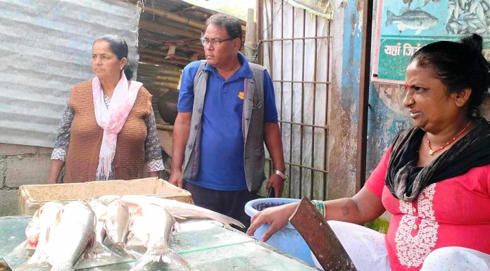 सिन्धुलीका पसलबाट अस्वस्थकर माछा र मासुको बिक्री बितरण, कमलामाई नगरपालिकाको छापामारीपछि खुल्यो तथ्य