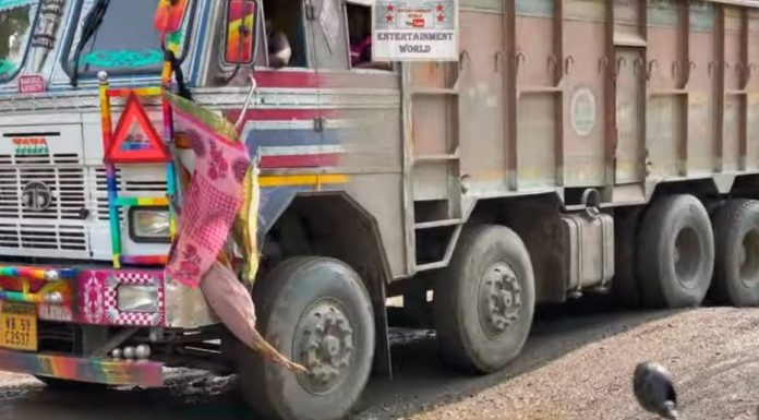 तिहारमा भारतीय फुलको आयत रोक्ने गठबन्धन सरकारको निर्णय बिचौलियाको कब्जामा, २० ट्रक भन्दा बढी सयपत्री फुल काठमाडौमा !