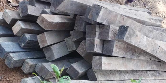 बन समितिकै मिलेमतोमा सिन्धुलीमा काठ तस्करी, प्रहरीको फन्दामा परेपछि खुल्यो तथ्य