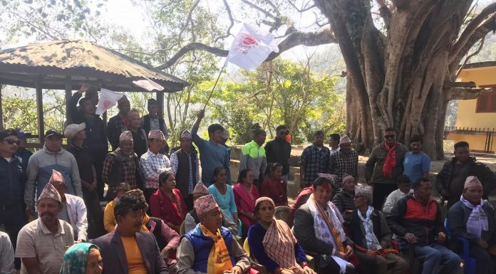 कमलामाईमा बढ्दैछ एमाले उमेदवार थापाको क्रेज